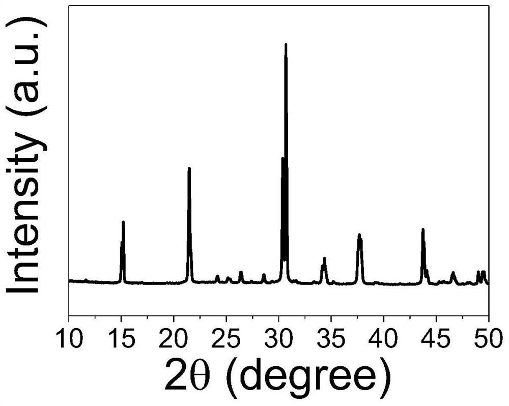 Halogen perovskite single crystal x-ray detector and preparation method thereof