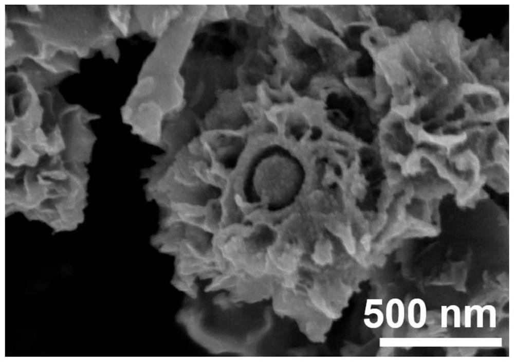 An indium-doped molybdenum carbide nanoflower core-shell photocatalyst and its preparation and application