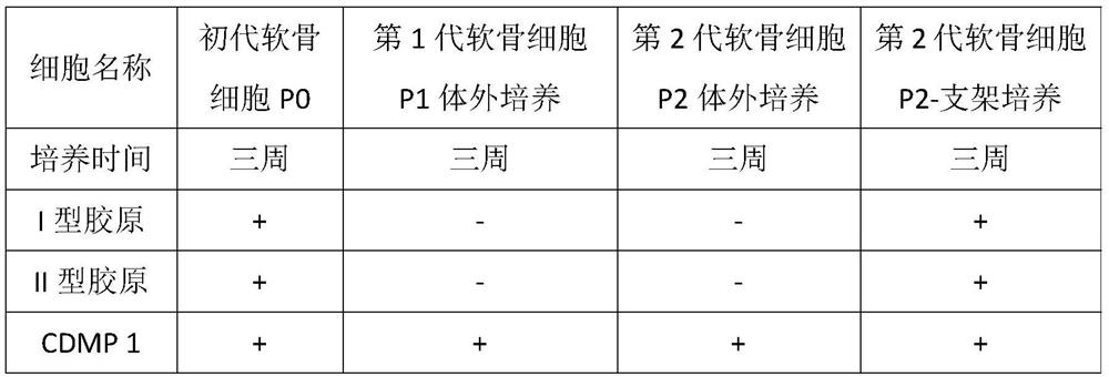 Cartilage repair material, and cartilage reconstruction biological scaffold and preparation method thereof