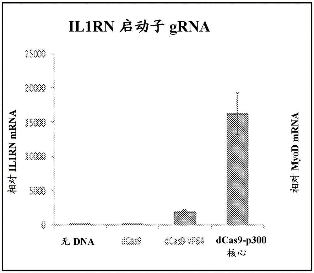 Rna-guided gene editing and gene regulation