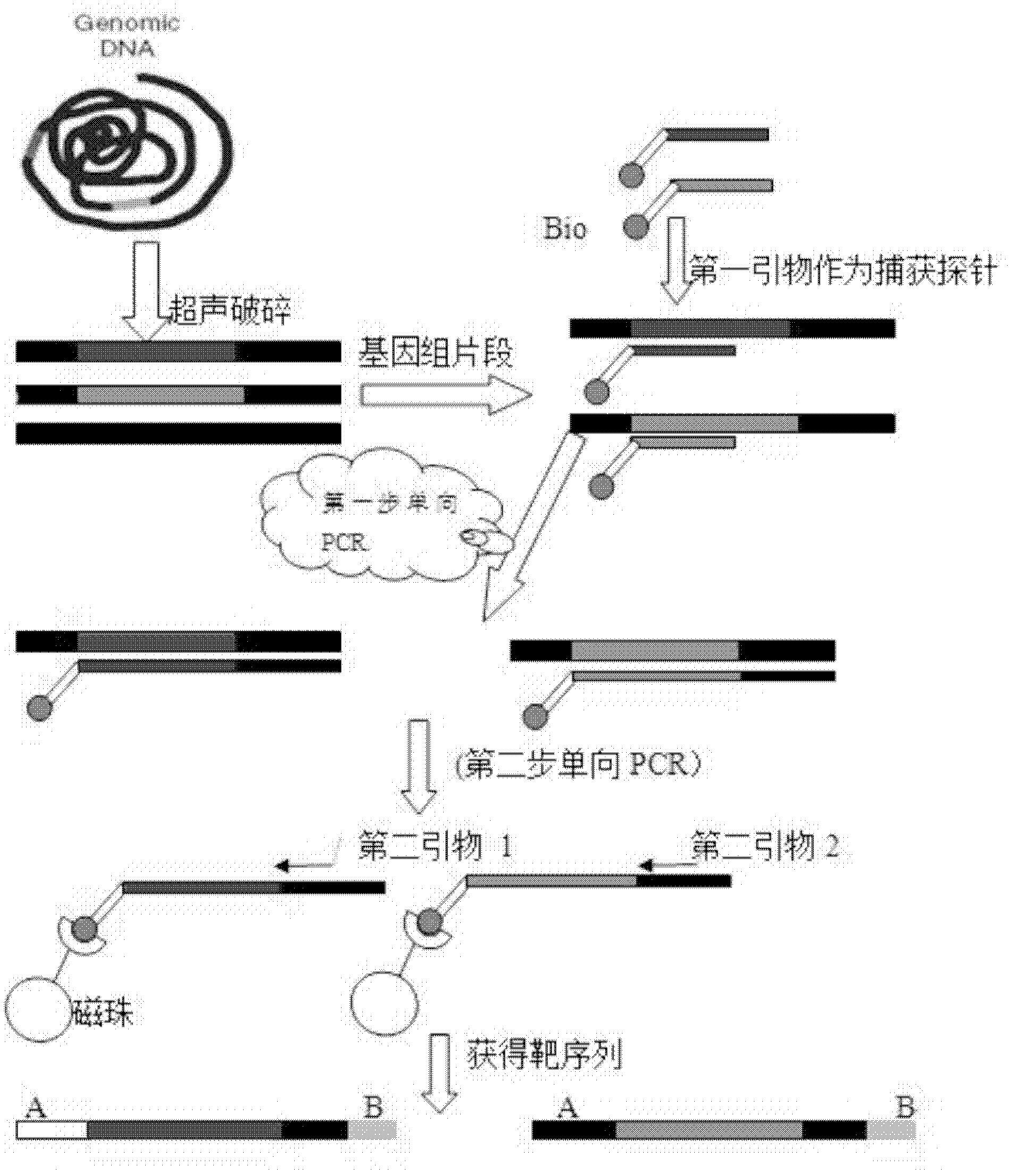 Method for qualitatively and quantitatively detecting nucleic acid based on high-flux sequencing technology