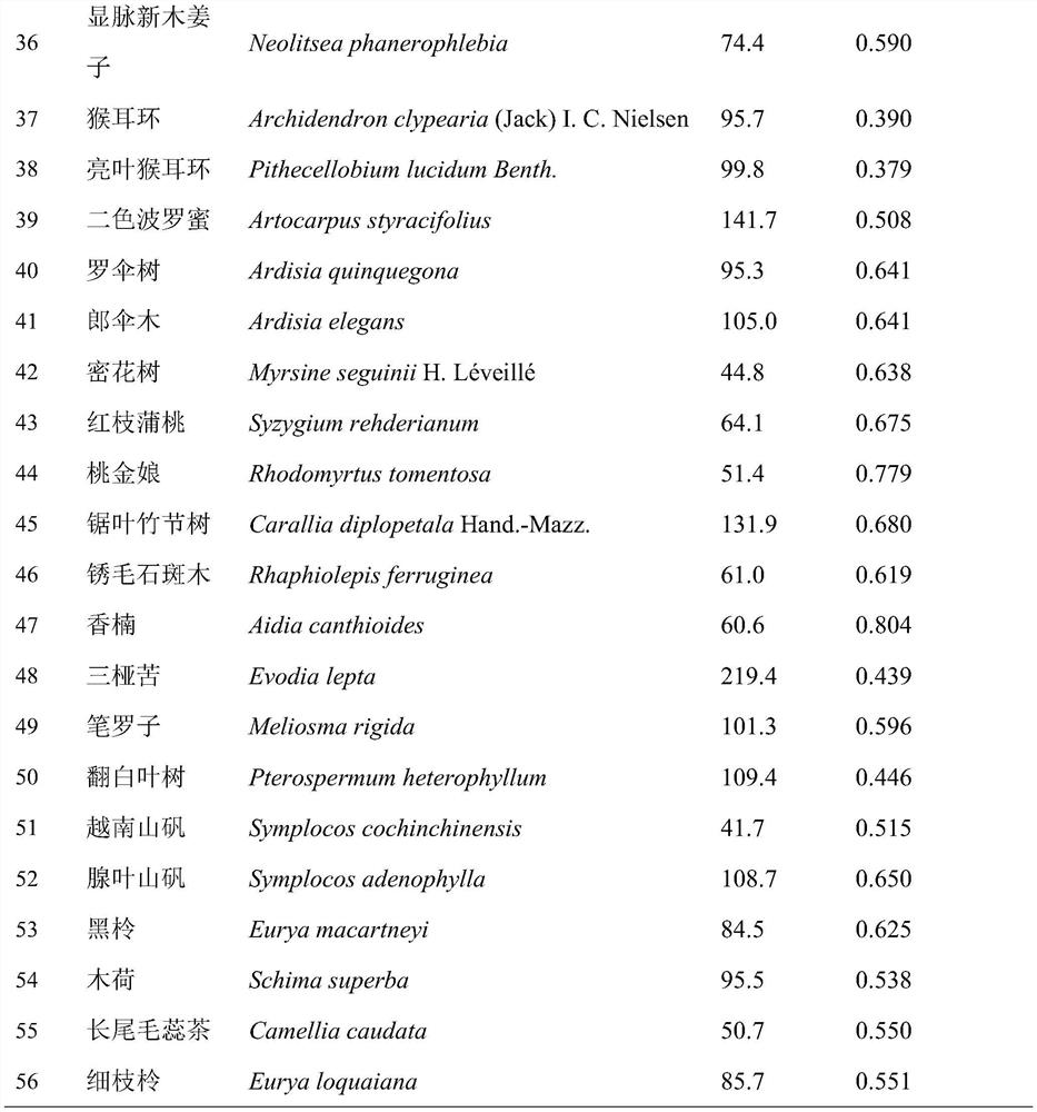 A three-dimensional community with large leaf area constructed by applying south subtropical tree species and its construction method