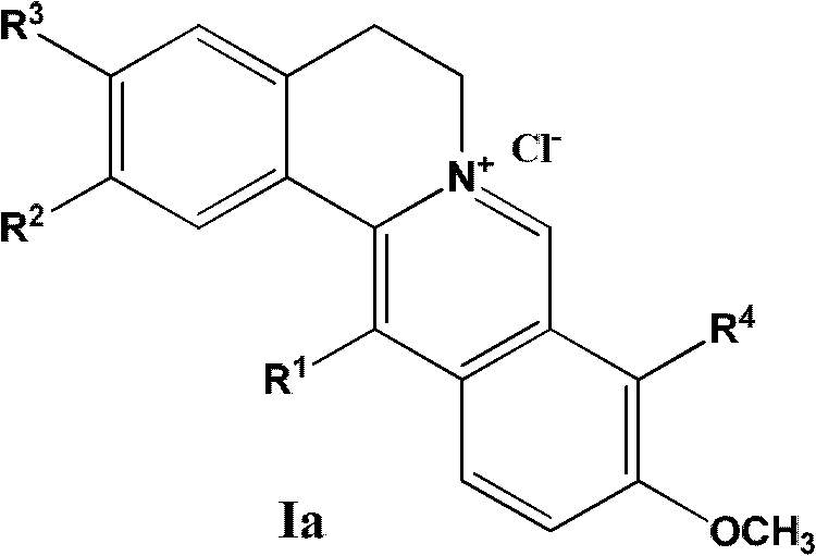 13-substituted berberine derivatives and preparation method thereof, and uses of 13-substituted berberine derivatives as anti-tuberculosis drugs