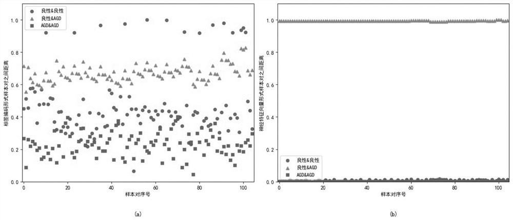 Malicious domain name detection method based on comparative learning under limited training samples