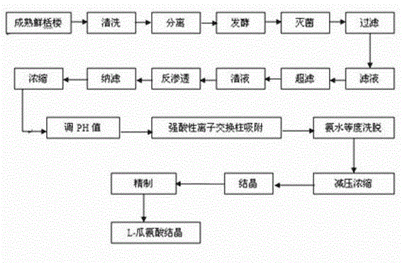 Method for extracting L-citrulline employing microbial fermentation of trichosanthes kirilowii maxim pulp