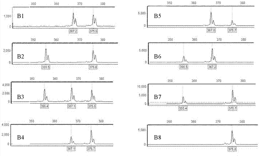 Method for directly identifying homologous recombination of higher plant DNA