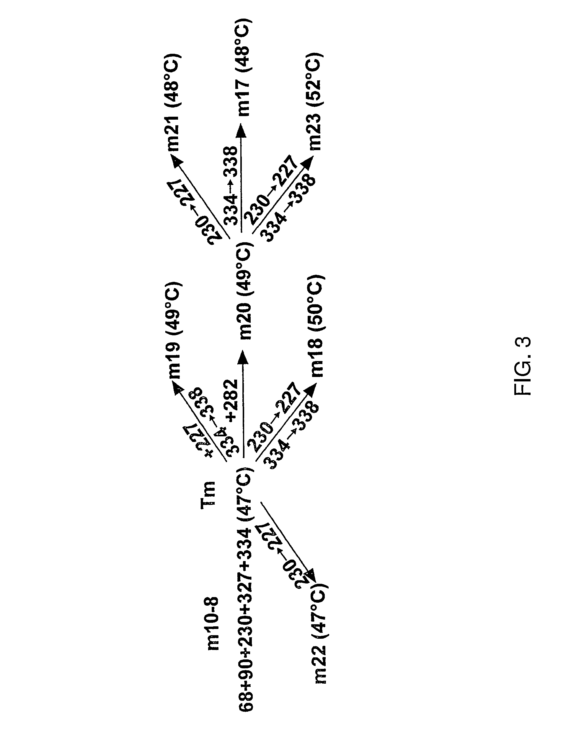 Mutant proteins and methods for producing them