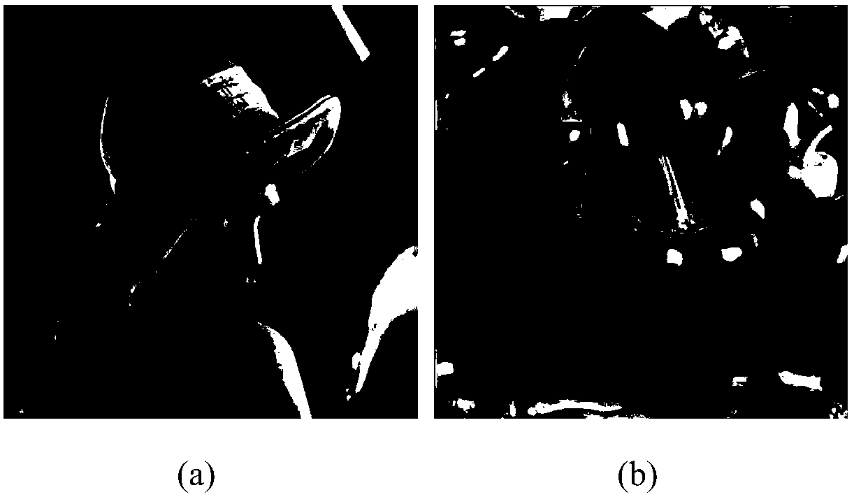 Color image authentication method and system based on sparse representation of hypercomplex encryption domain