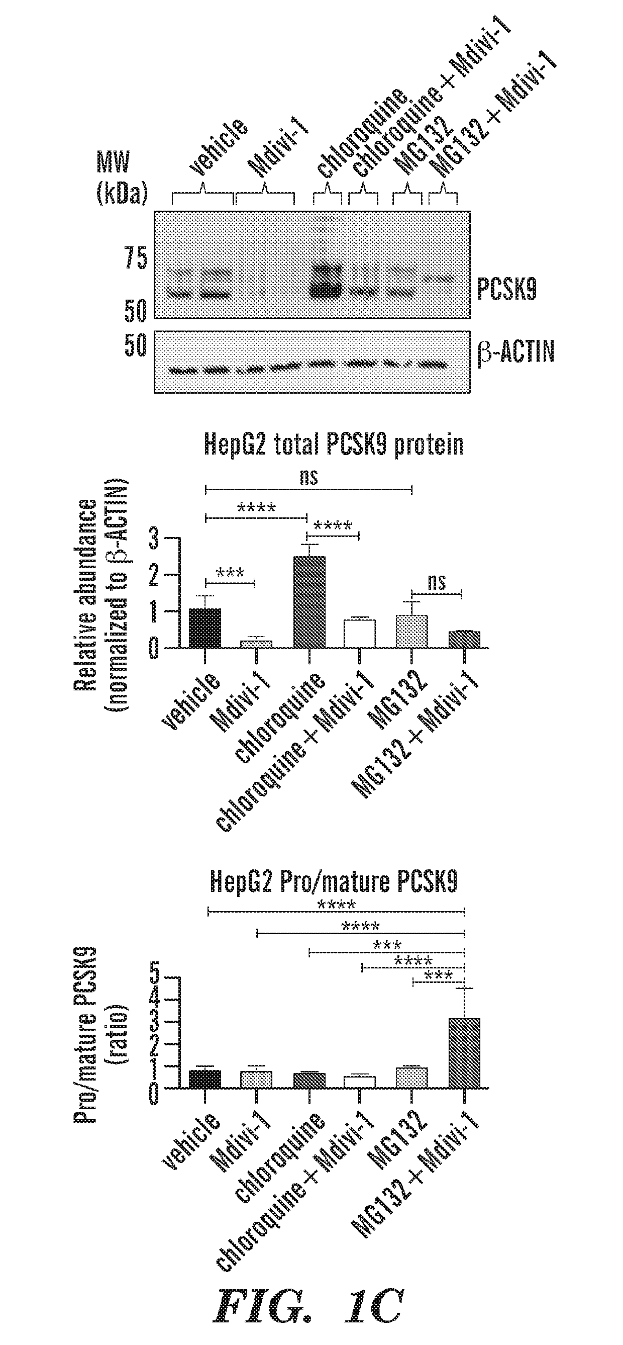 Modulation of pcsk9 and ldlr through drp1 inhibition