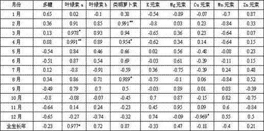 A kind of cultivation method suitable for high latitude Dendrobium candidum