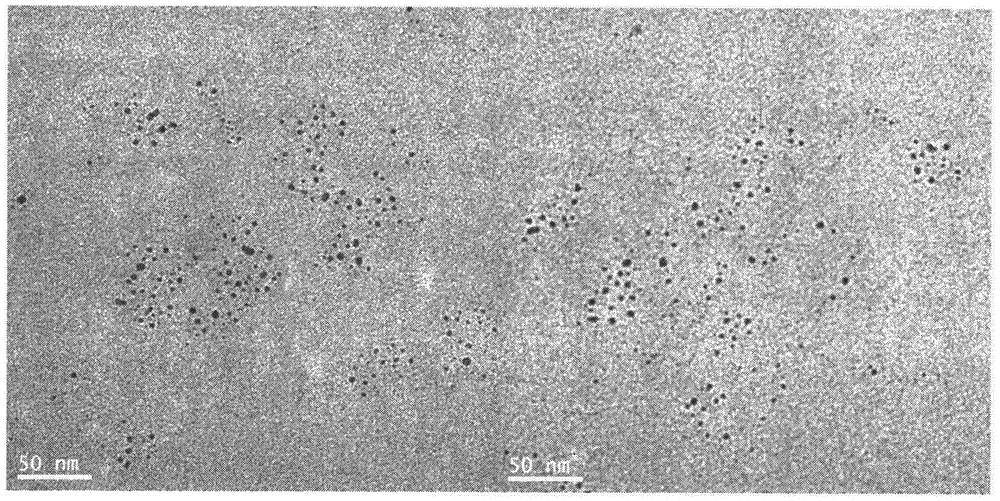 Preparation method of nanometer titanium dioxide composite nanometer silver sol