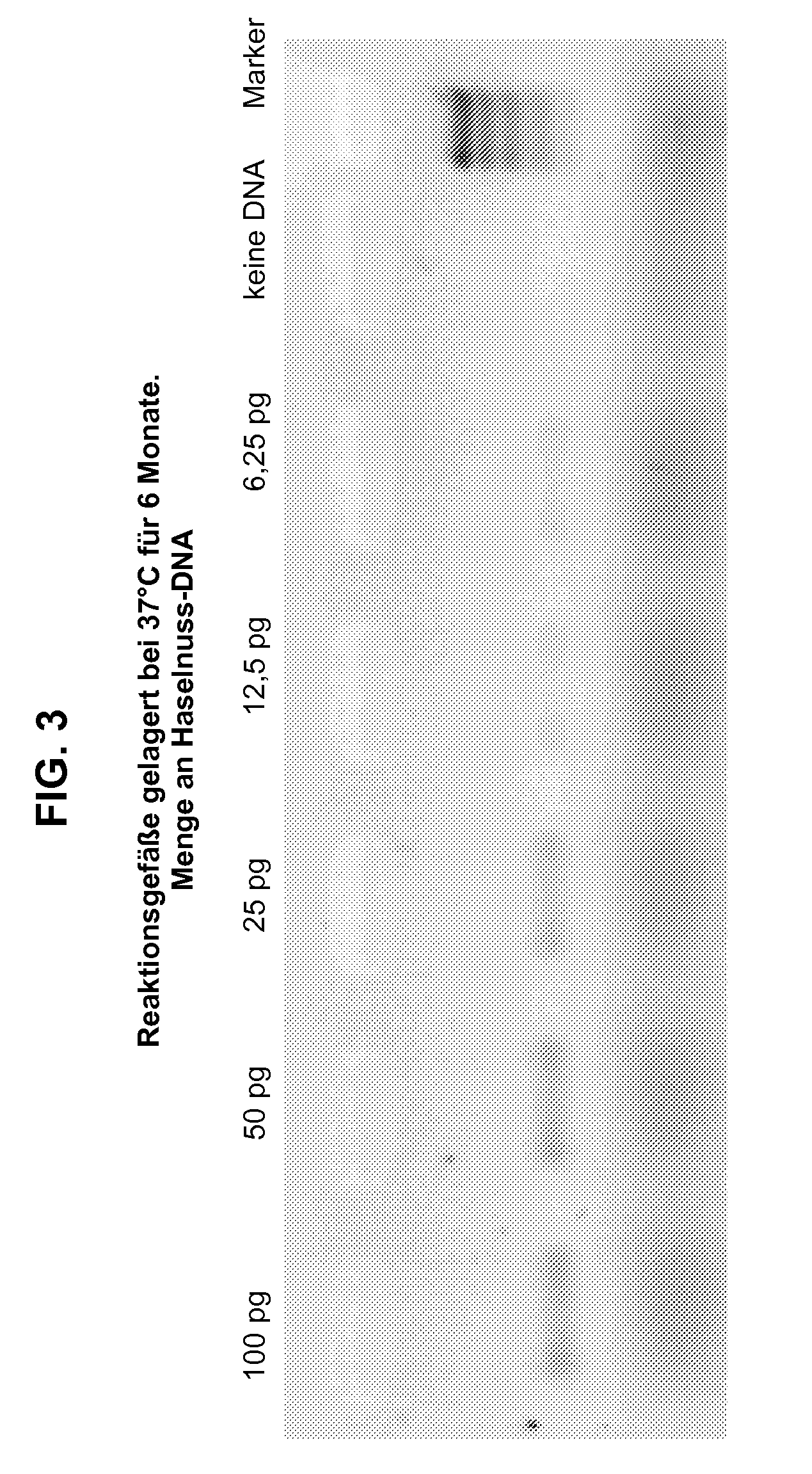 Disposable articles for analysis and diagnostics for a laboratory