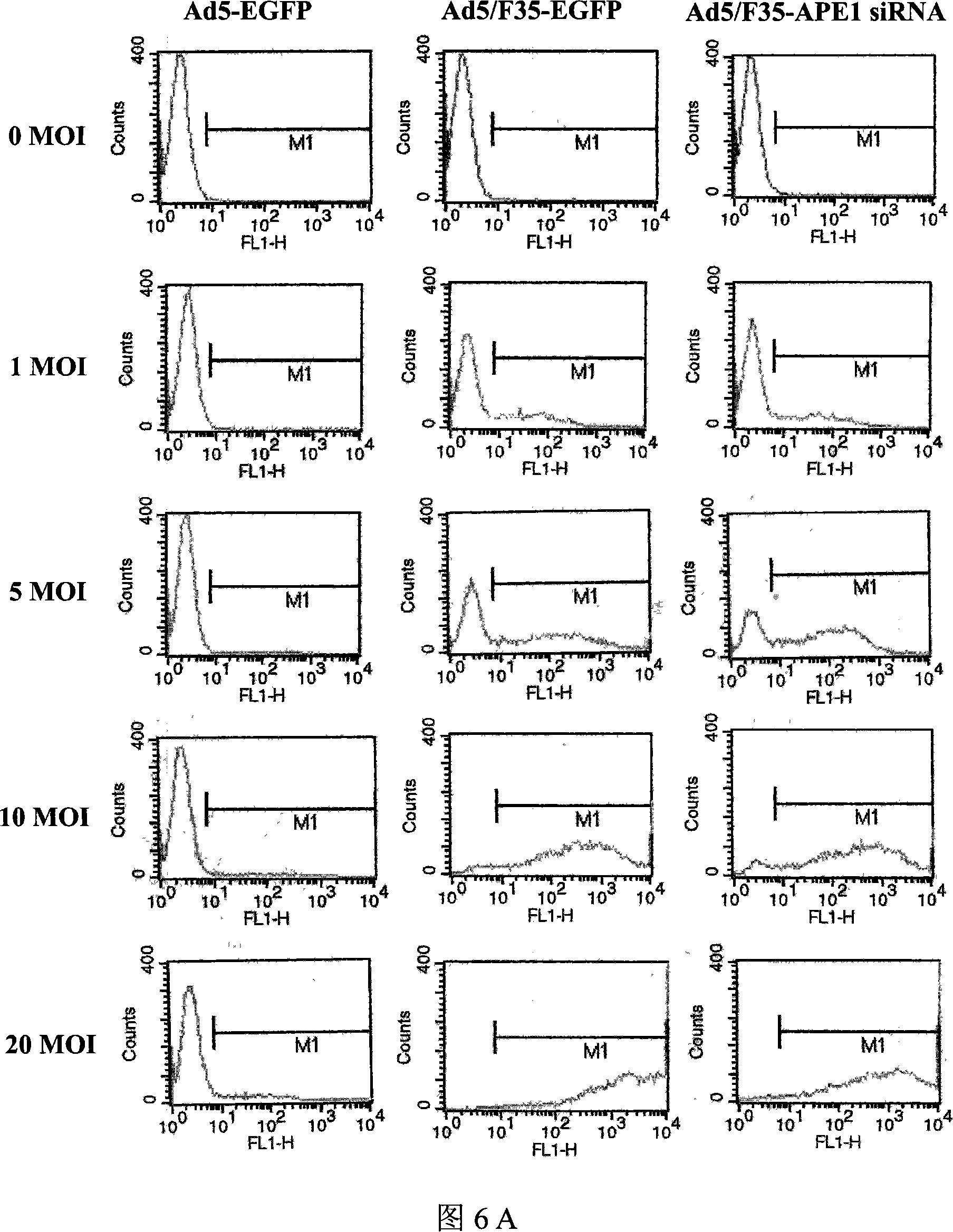 Use of duplicating type recombinant adenovirus
