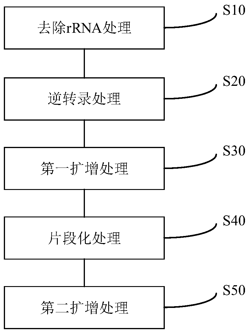 Construction method and application of sequencing library of long-chain non-coding RNA