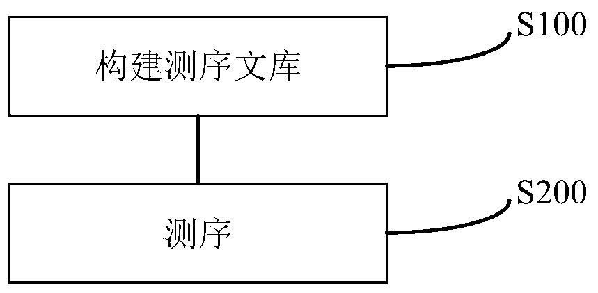 Construction method and application of sequencing library of long-chain non-coding RNA