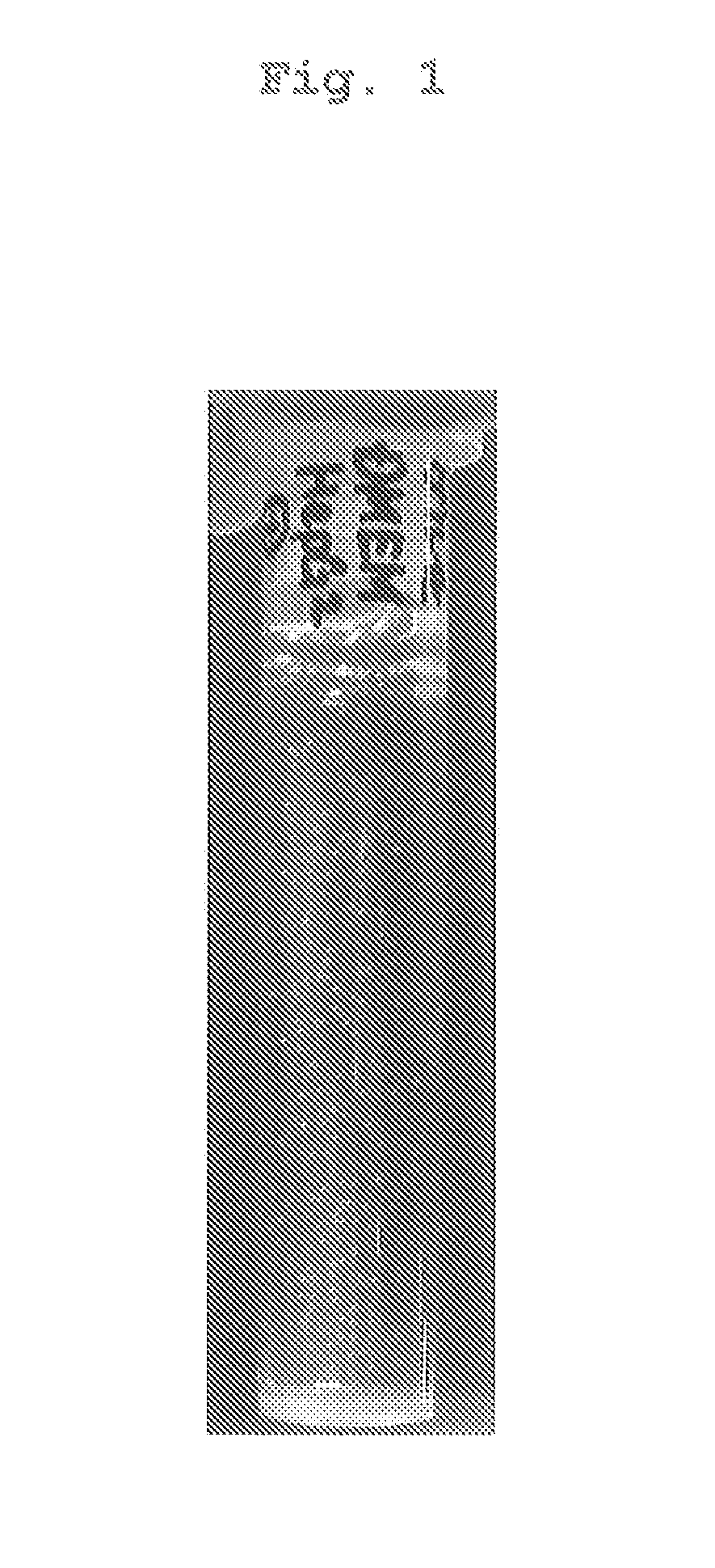 Culture medium composition and method of culturing cell or tissue using thereof