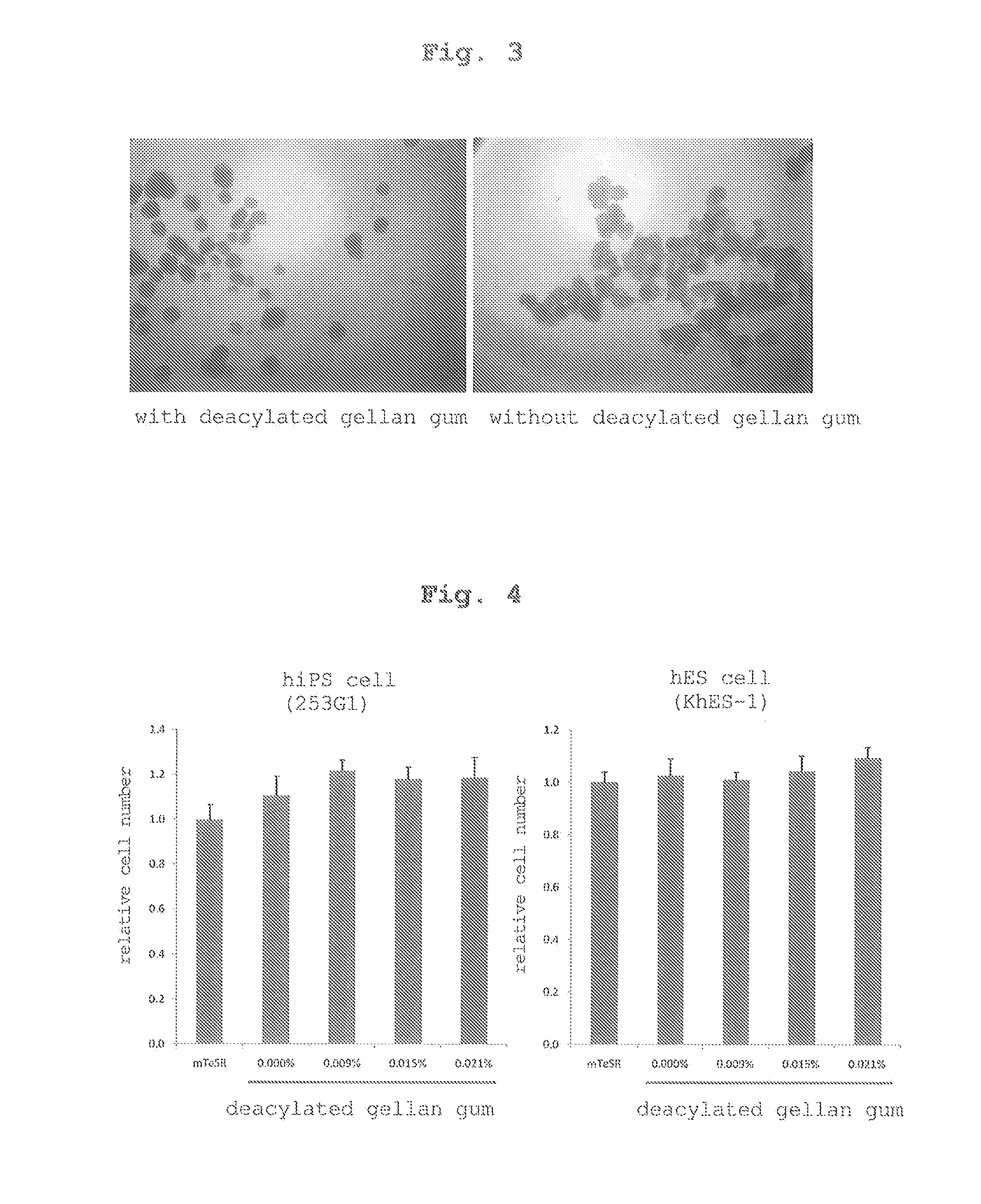 Culture medium composition and method of culturing cell or tissue using thereof