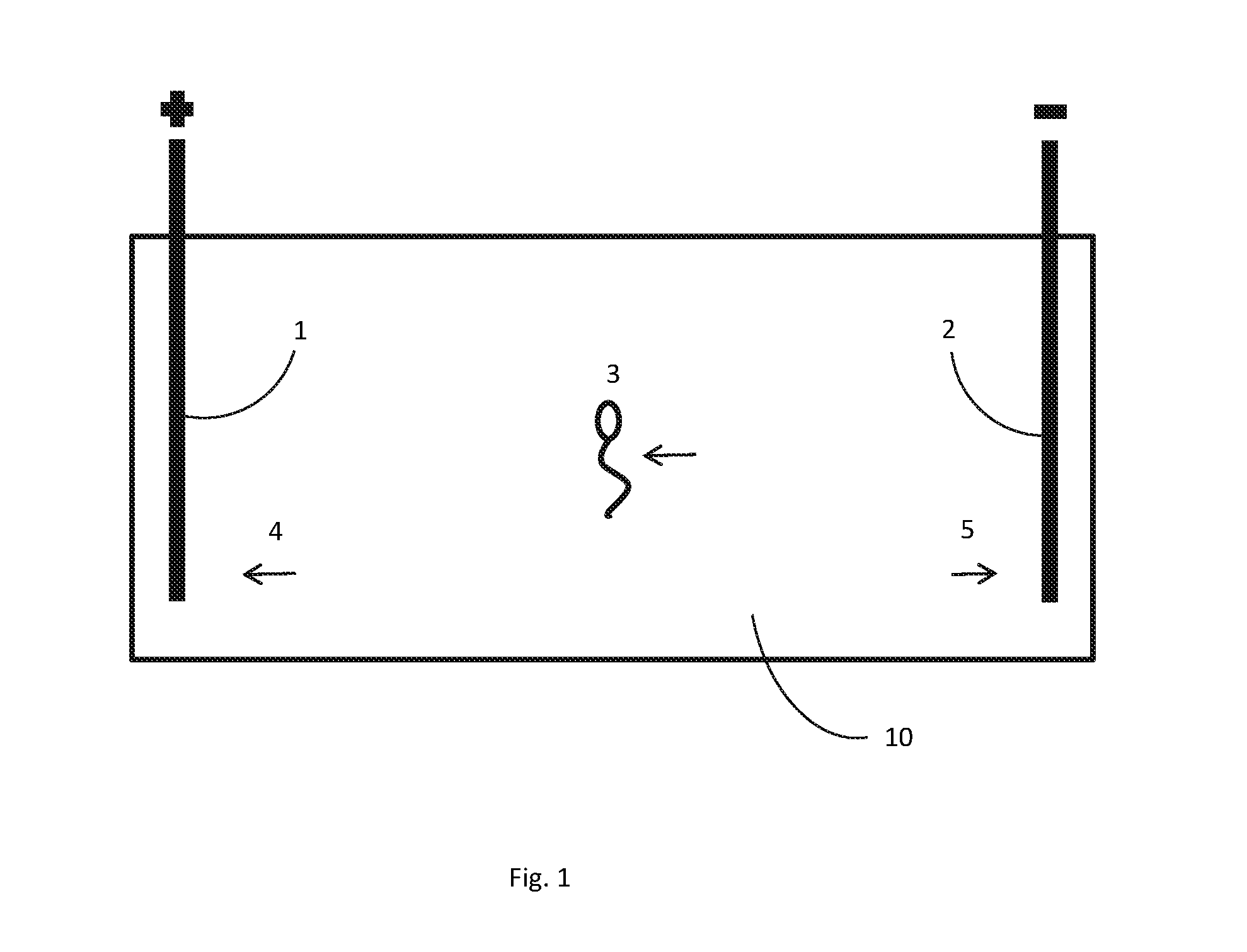 Processing of sperm cells