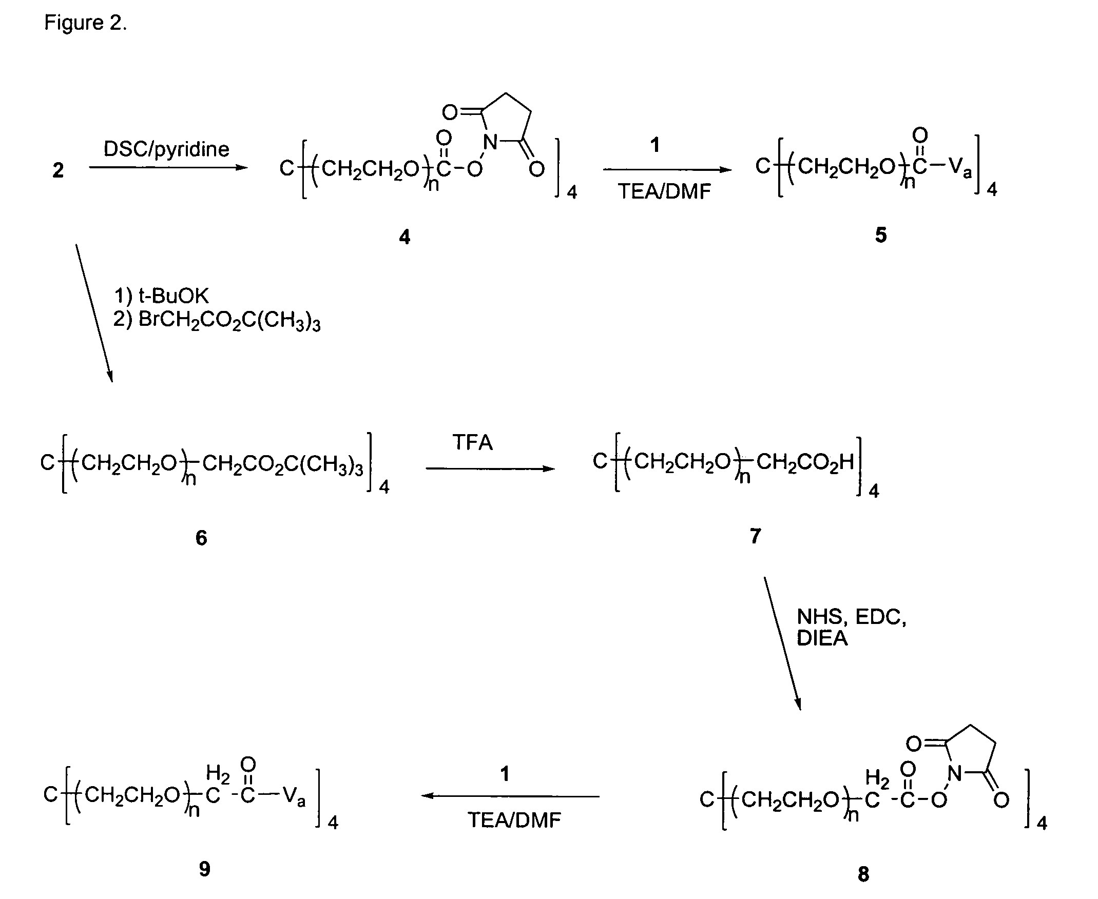 Prodrugs of vancomycin with hydrolysis resistant polymer linkages