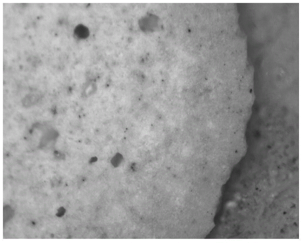 A kind of lightweight ceramsite sintered on the surface of zinc chloride and its preparation method