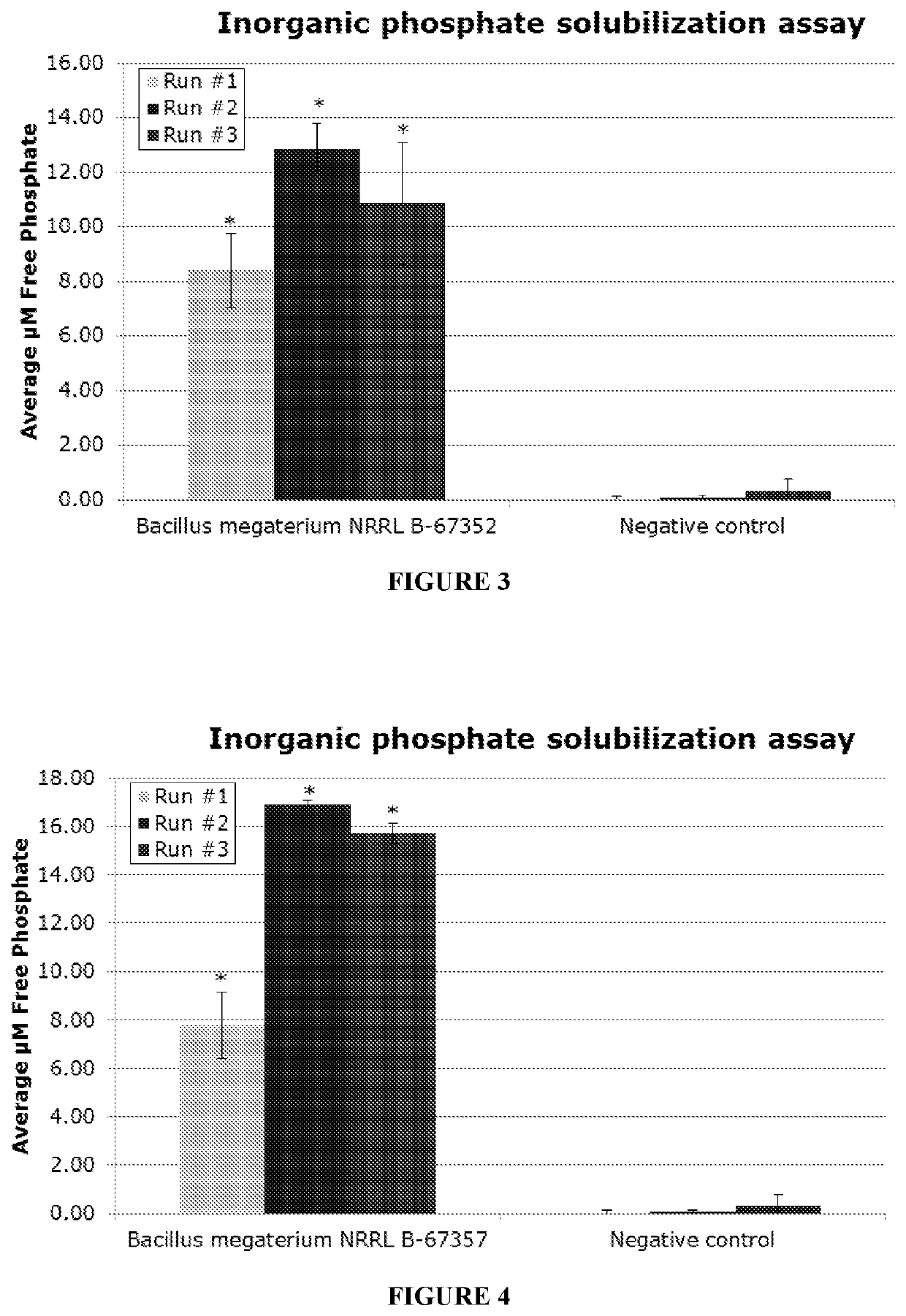 Bacillus isolates and uses thereof