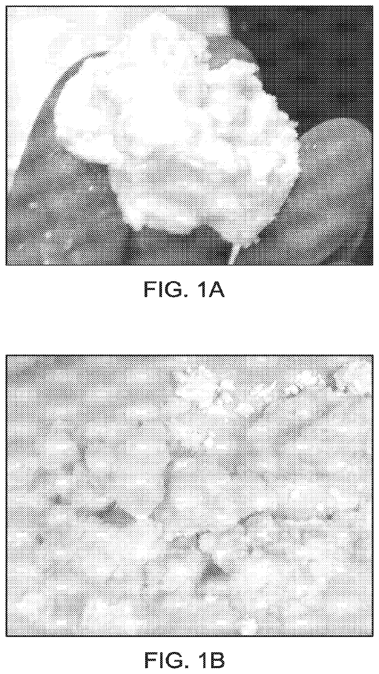 Nanosilica dispersion for thermally insulating packer fluid