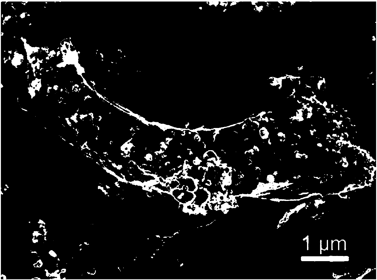 Flexible carbon film-coated amorphous Sn-Ni-P sandwich structure nanomaterial and preparation method and application thereof