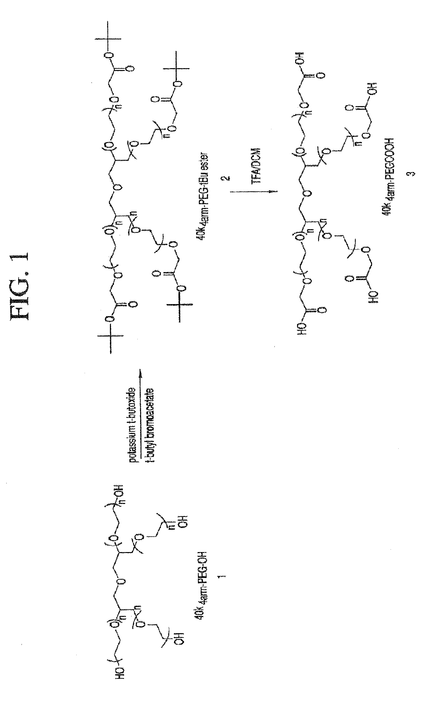 Methods for inhibiting angiogenesis with multi-arm polymeric conjugates of 7-ethyl-10-hydroxycamptothecin