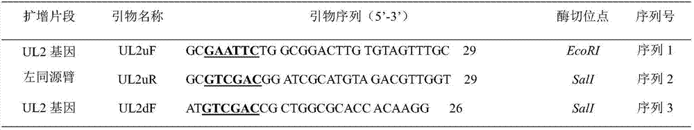 Construction and application of H5 subtype avian influenza recombinant duck enteritis virus rDEVdeltaUL2-H5 strain