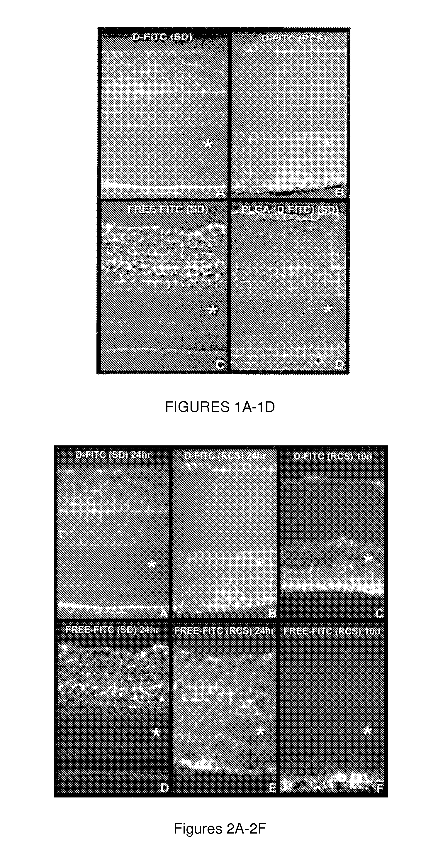 Dendrimers for sustained release of compounds