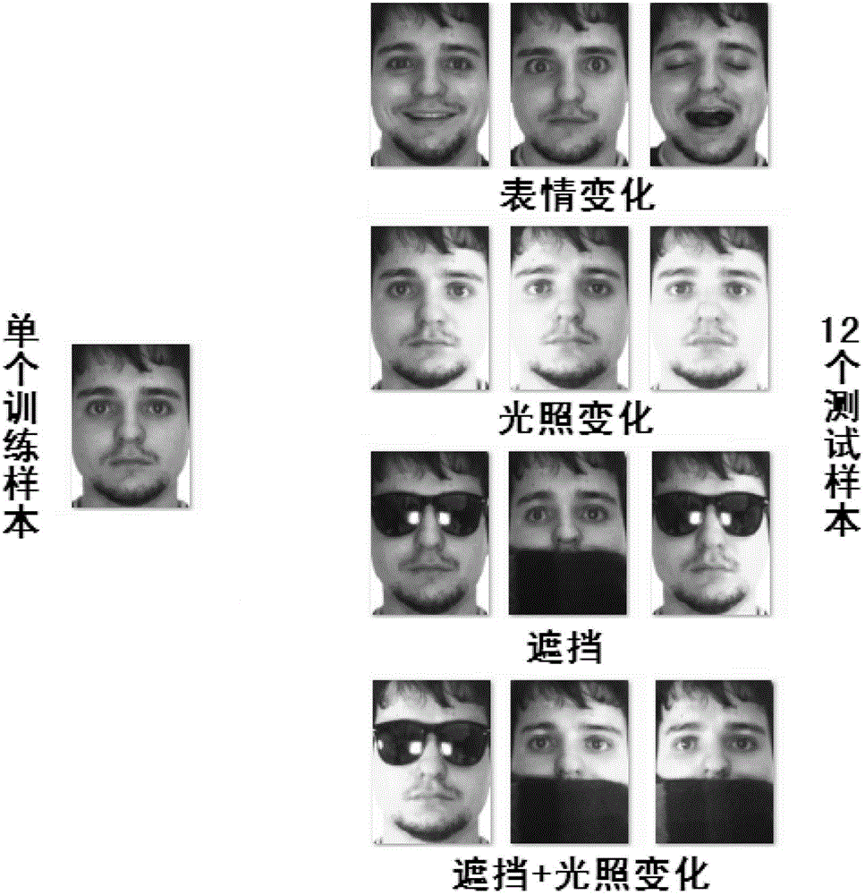 Sparse representation face recognition method based on intra-class variation dictionary and training image
