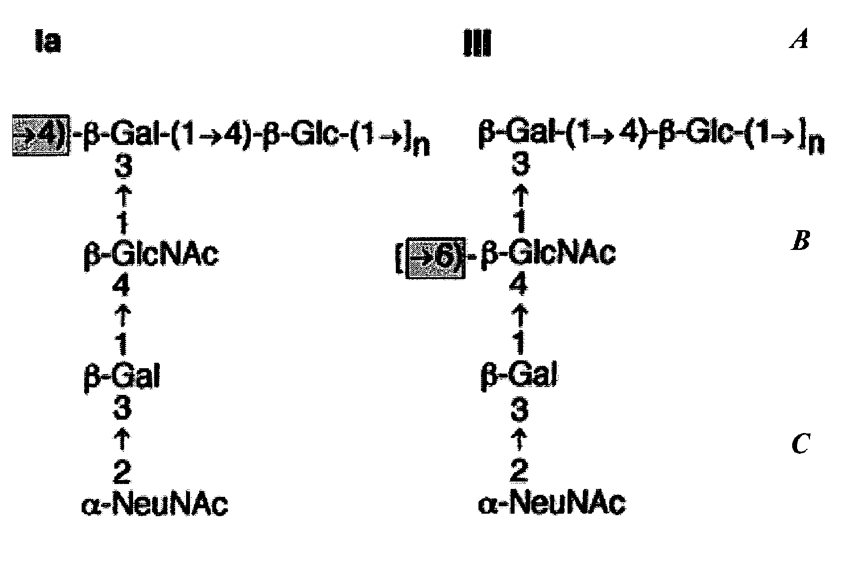 Separation of conjugated and unconjugated components