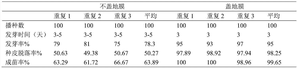 A method for rapid seedling cultivation of sweet potato seeds