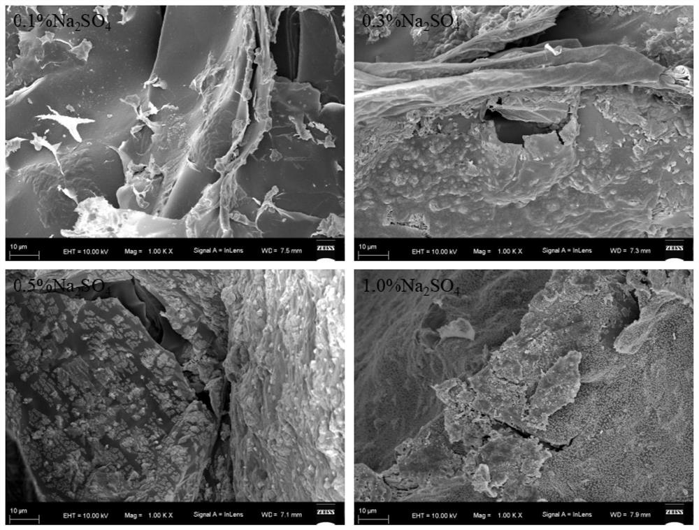 A CT visualization and mucoadhesive dual-function microcapsules and its preparation method and application