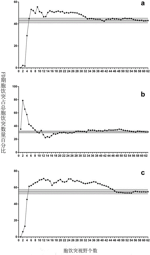 Method for quantification of peri-implantation window phase endometrial pinopodes