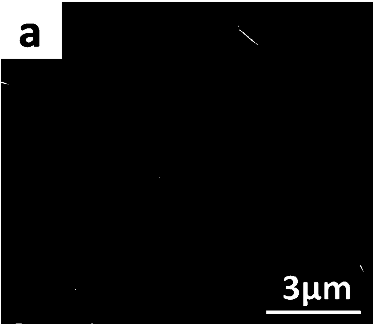 A kind of boron-doped diamond electrode with high specific surface area and its preparation method and application