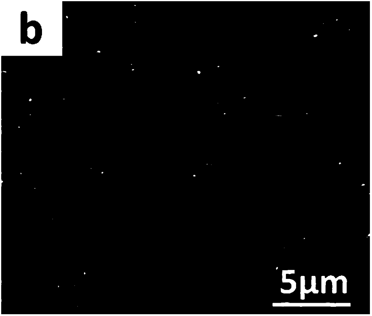 A kind of boron-doped diamond electrode with high specific surface area and its preparation method and application