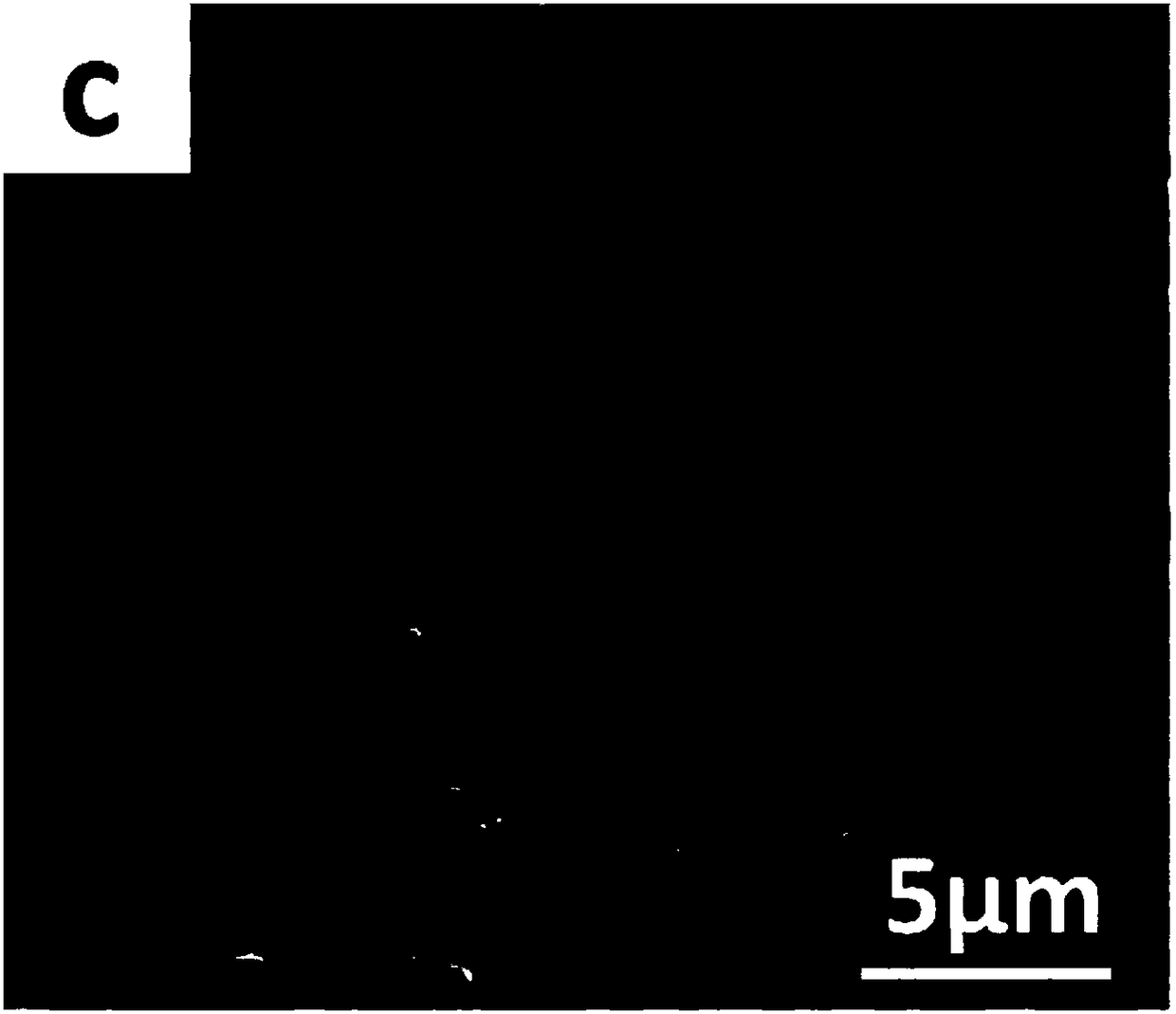 A kind of boron-doped diamond electrode with high specific surface area and its preparation method and application