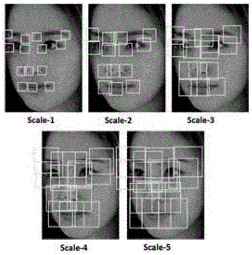 Face comparison method based on high-dimensional LBP (Local Binary Patterns) and convolutional neural network feature fusion