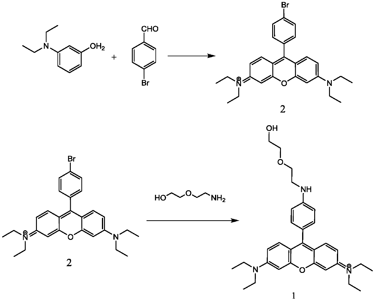 Fluorescent probe molecules for detecting nitric oxide based on rhodamine derivatives and preparation and application thereof