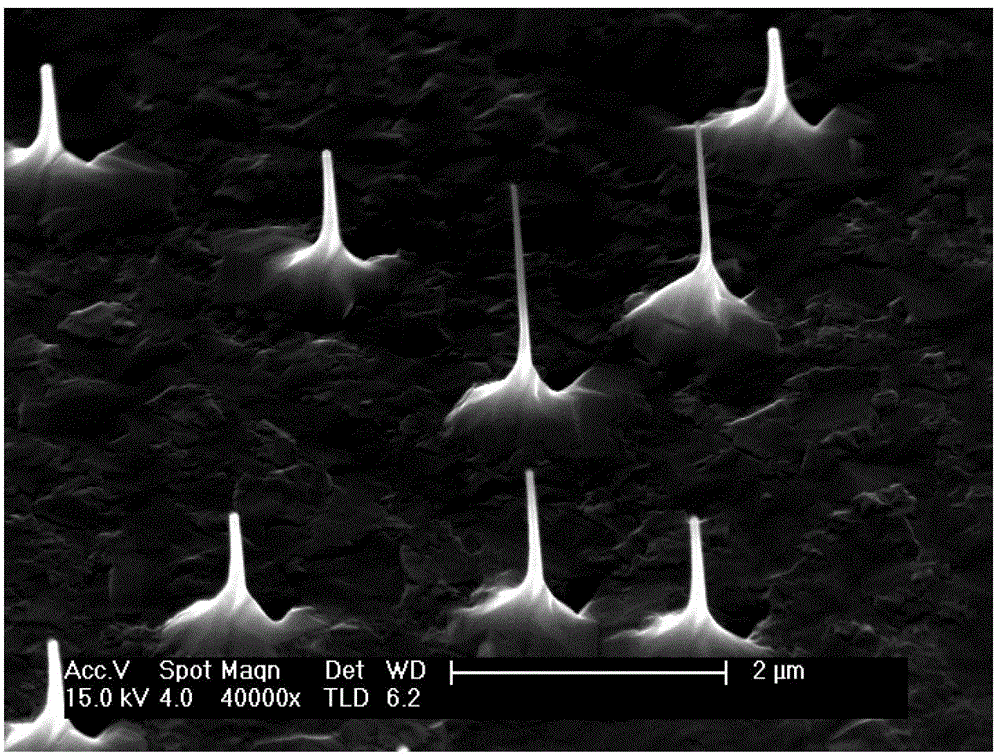 Molecular Beam Epitaxy Growth Method of Gaas-Based Nanowires Regulated by Bi Elements