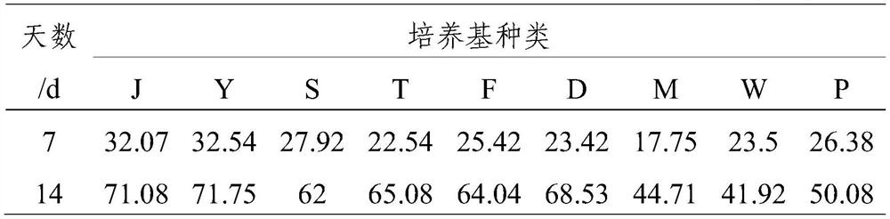 Culture medium for Amylostereum areolatum and culture method thereof