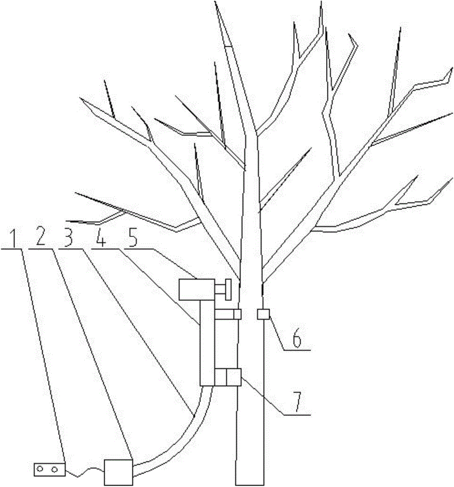 An impact walnut picker