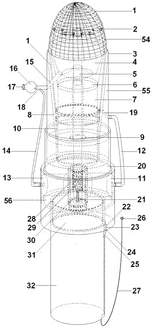 Suction and rotary scraping type endometrial epithelium cell gathering device for goat
