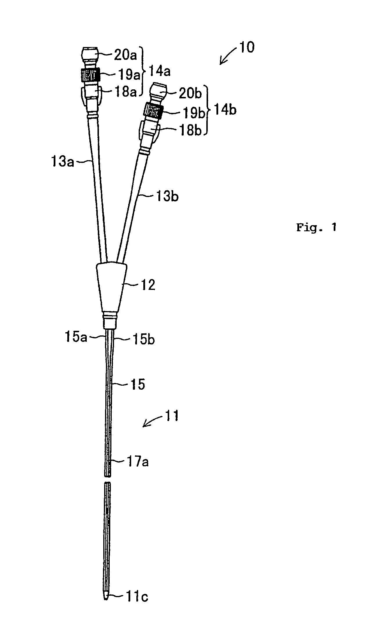 Dual-lumen catheter with contrastradiography sections to identify the lumens