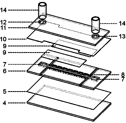 Cellular electric fusion chip device based on dispersed type side wall microelectrode array and processing process