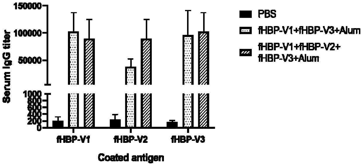 Composition containing group B meningococcal fHBP antigen as well as preparation method and application thereof