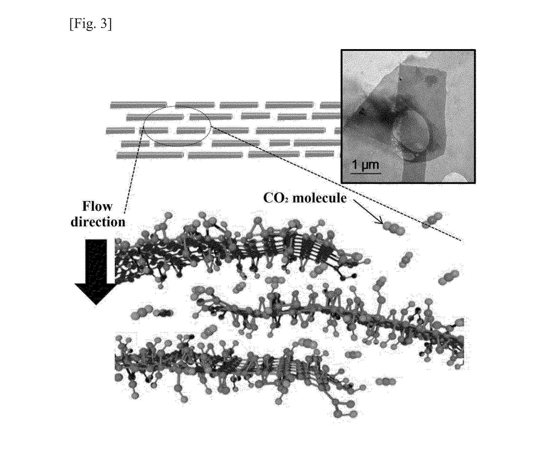 Composite separation membrane including graphene oxide coating layer and method for manufacturing the same