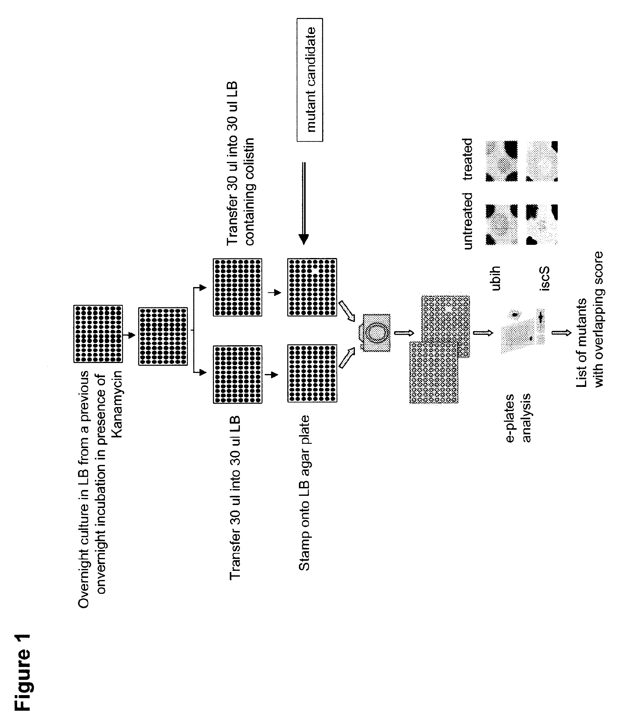 Compositions and methods to potentiate colistin activity