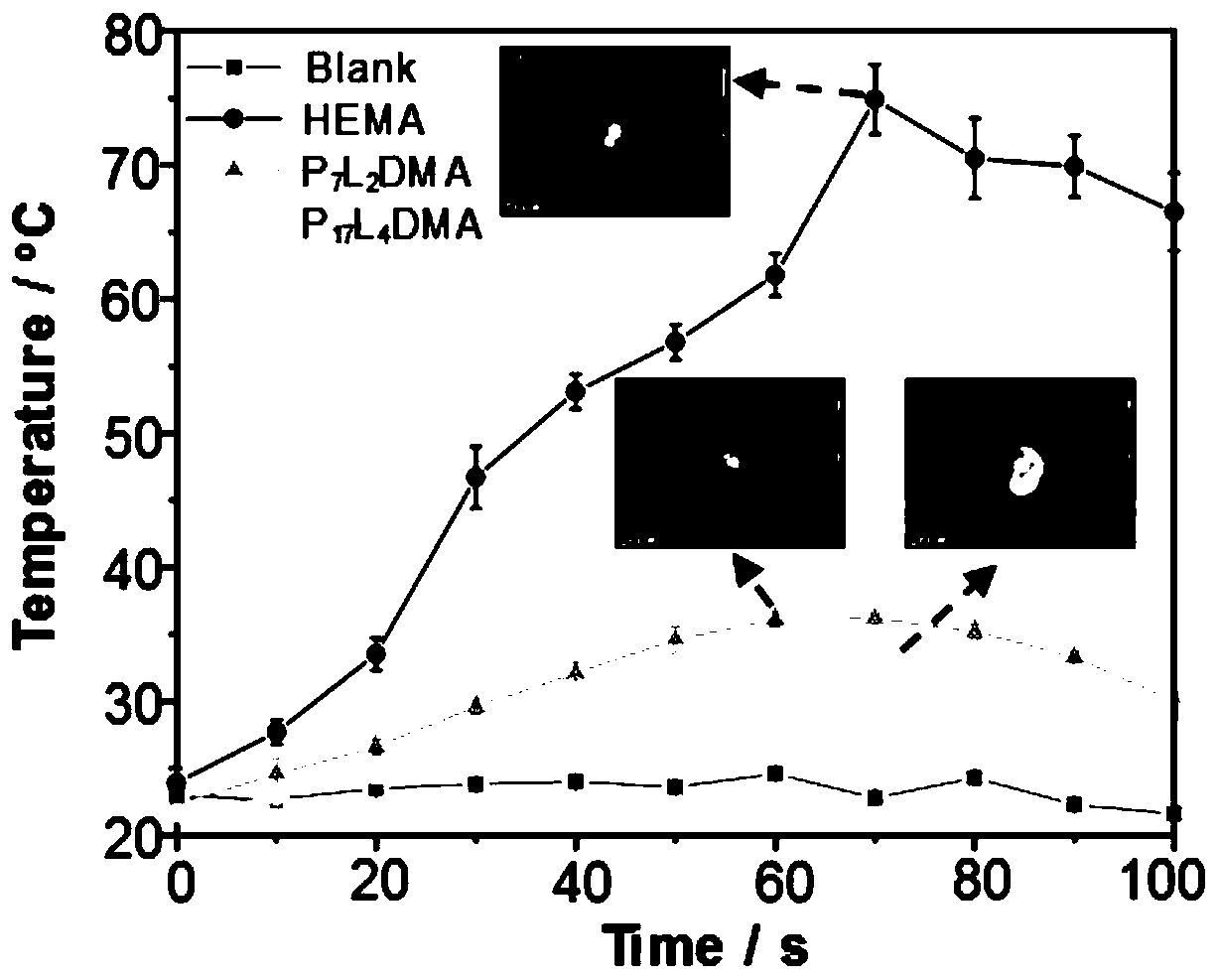 Light curing composite for bone tissue engineering and bone tissue engineering bracket based on light curing composite